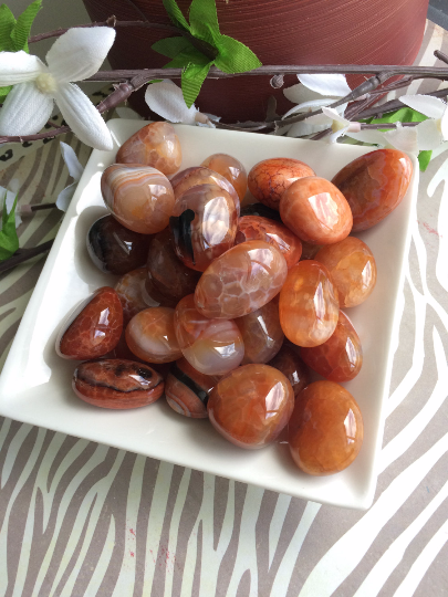 _ArieAria_'s tweet photo. Set of 12 Fire Agate Tumbled Gemstones https://t.co/d93AzNLnZO #Ebay #ariearia #fireagate #gemstones #tumbledstones https://t.co/CzOTJUOKaw