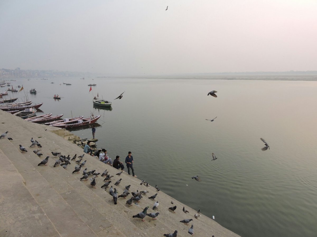 temsutulaimsong's tweet photo. For those who are not in #Varanasi #Kashi but whose heart is here☺☺☺☺ ... here is how Subah-e-Banaras looks like .. https://t.co/Sbj6Ex0ZxL