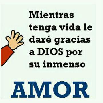 crisly_boada's tweet image. 