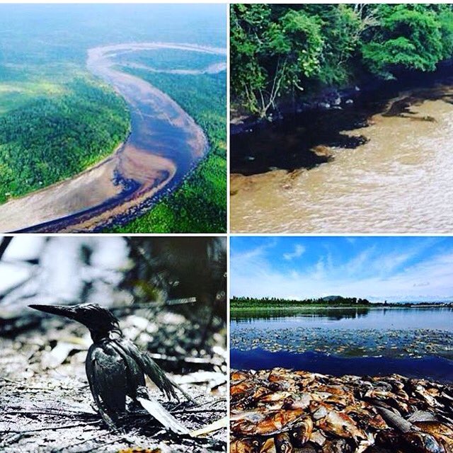 JAveolela's tweet photo. An Accidental" #OilSpill in #peru by #PetroPeru  No media coverage as usual... #PeruOilSpill https://t.co/kbAvNAYpAd