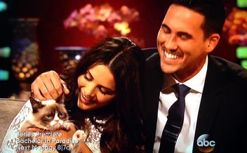 GrumpyCatMerch's tweet photo. That time I was on #thebachelor. It was awful. #grumpycat https://t.co/2jeD1XS9em https://t.co/4GjpFNwEpE