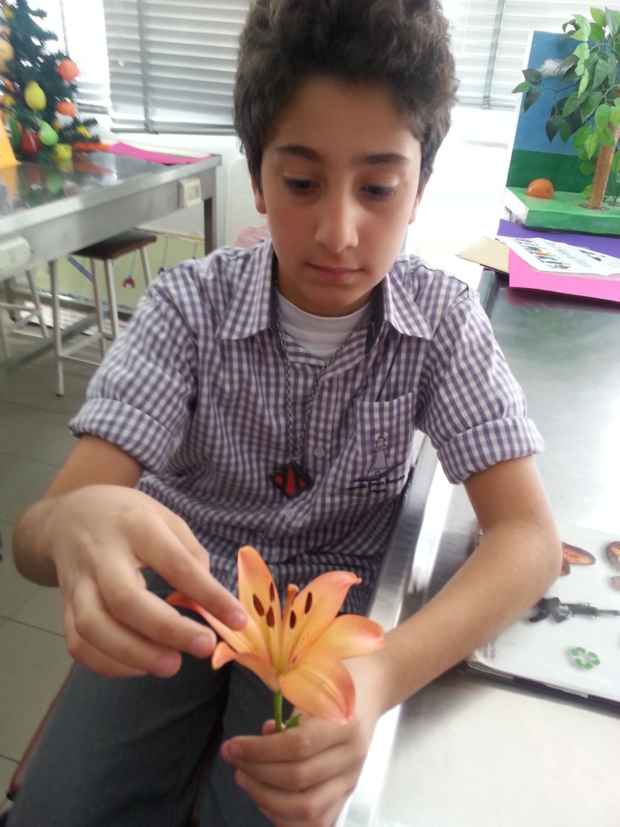 DawhaLab's tweet photo. E.B.6#Lab#Dissection d'une fleur@DawhaHighSchool https://t.co/dQhT4bipUN