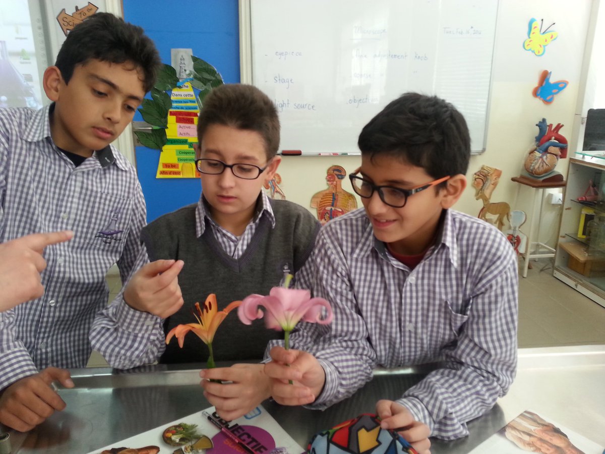 DawhaLab's tweet photo. E.B.6#Lab#Dissection d'une fleur@DawhaHighSchool https://t.co/dQhT4bipUN