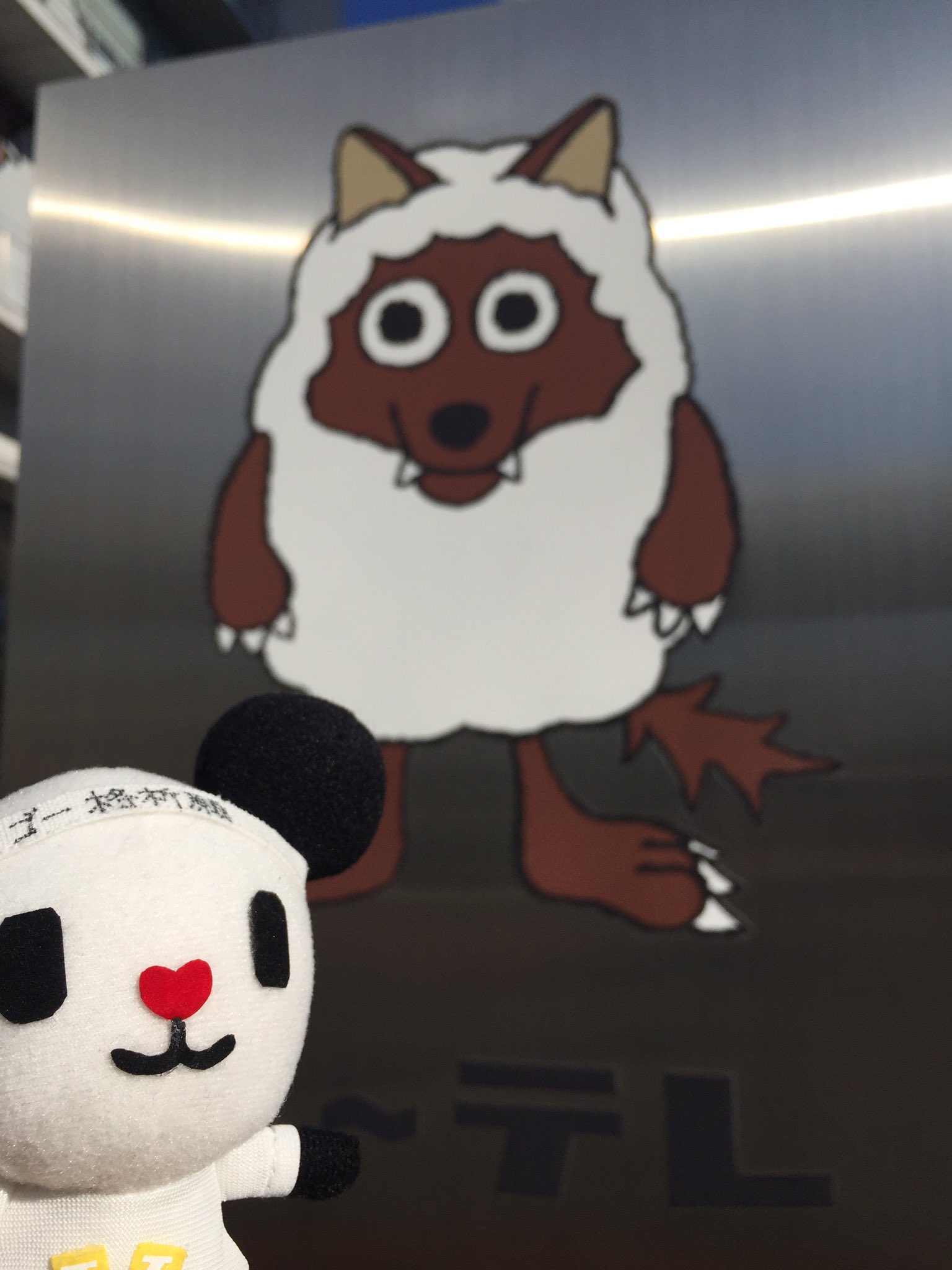 ゴーちゃん テレビ局のマスコットキャラクターの大せんぱい ウルフィさんだブイ 羊の皮をかぶったオオカミ という おそろしいせんぱいだブイ ゴーちゃんin名古屋 ウルフィ メーテレ T Co Gknwrdkoxv Twitter