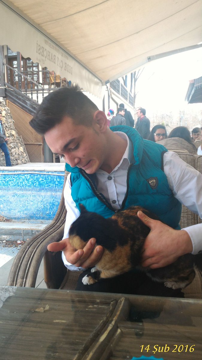 kedicik :) :)