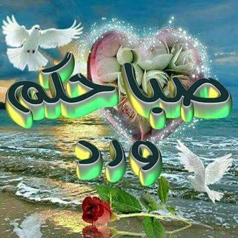 <a href="/wewe19992231/">حساب مغلق</a> @noor1997755 @mwalyhw8998 <a href="/nmnm199998/">⭐KRYSYAL⭐</a>
