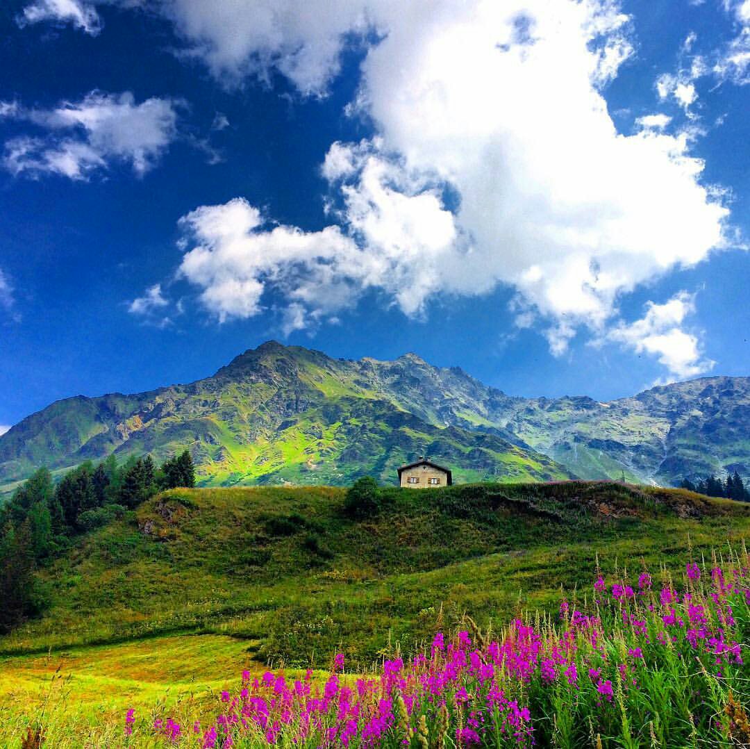 KeyKeyyou's tweet photo. Buat hati dan fikiran mu semakin bersih dan berseri seri setiap hari ..
Photography by : @swissmonamour
 #village https://t.co/tmFiuc2vJr