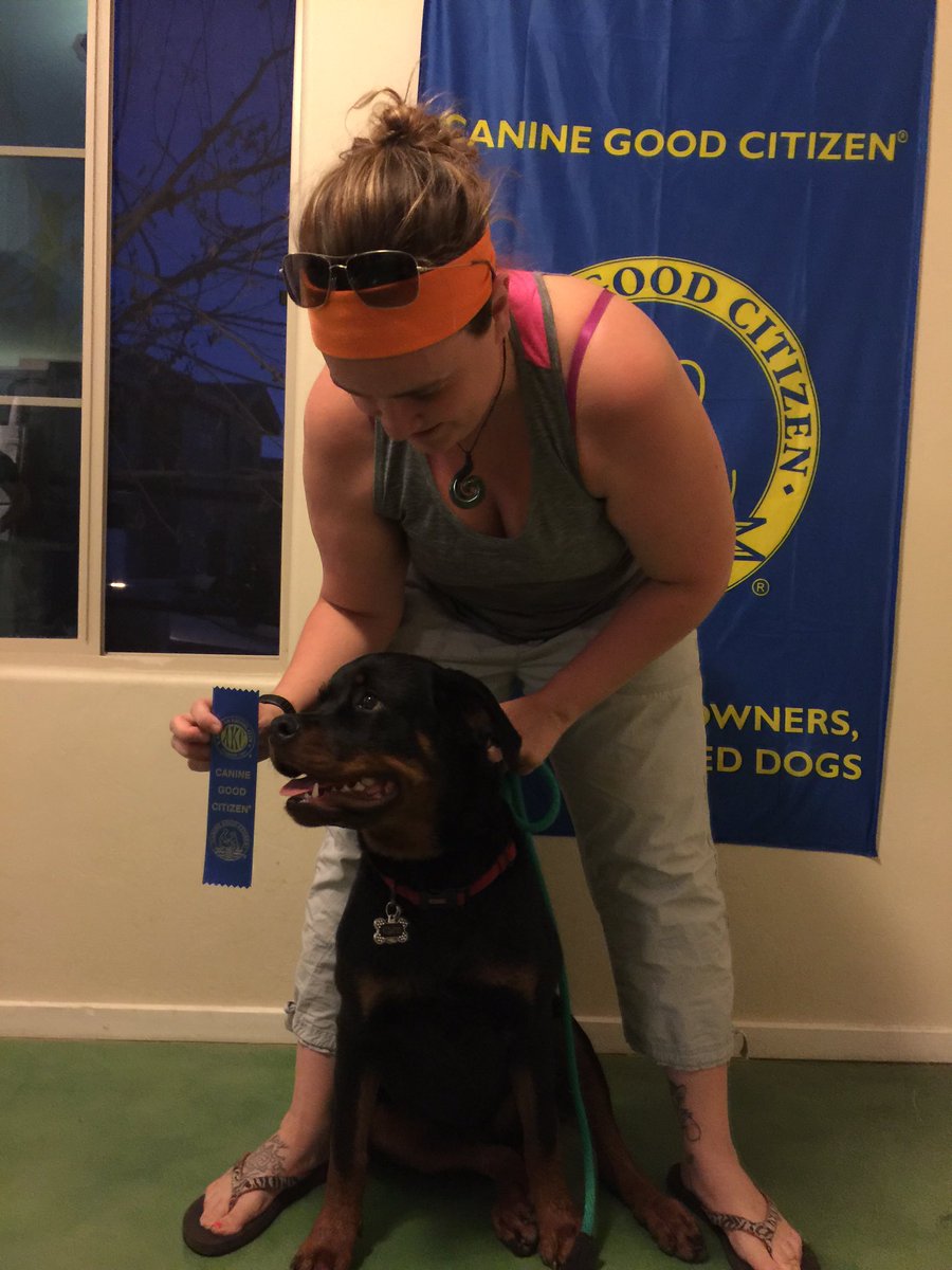 MCLifeRocks's tweet image. Perfect score at Canine Good Citizen Testing tonight. Blue ribbon! Congratulations! @PETPARTMENTS #Tucson