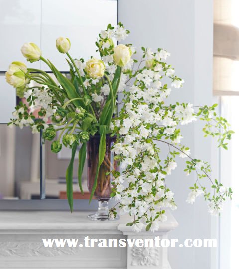 TransventorP's tweet photo. #Add #beautiful #SpringFlowers #Transventor #HomeDecor #Tips! https://t.co/cU1KnHrl2d
