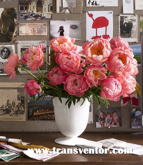 TransventorP's tweet photo. #Add #beautiful #SpringFlowers #Transventor #HomeDecor #Tips! https://t.co/cU1KnHrl2d