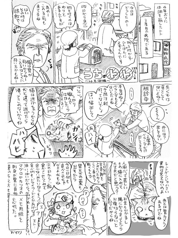 ねこまんが。第123話。～トト不調編～ 大変読みにくいです。としてトトはほとんど出番がにゃい。。近所の動物病院あるあるかもしれないですな。スプラトゥーンは赤負けちゃいましたね。青戸はまことのレッドボーイまででした。 