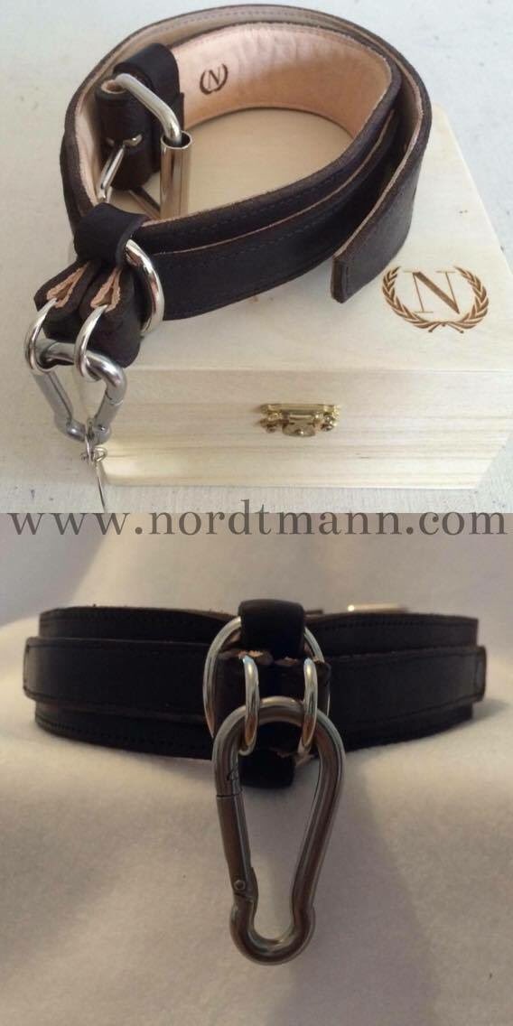 dernordtmann's tweet photo. #dog #Hund #dogcollar https://t.co/qtGkjRH5lU