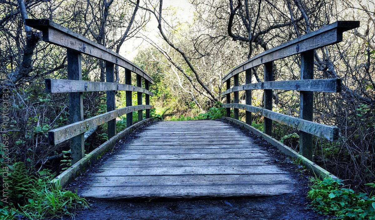 albauer89's tweet photo. On route to #alamerefalls on the #costaltrail. #californiacoast #californiahiker #hikingadventures https://t.co/vPvvRQB9X8