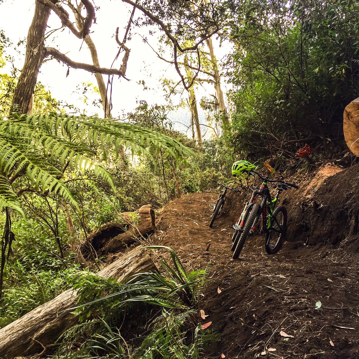 worldtrail's tweet photo. With the start of a new week brings further growth within the @Falls_Creek resort trail network 🍃 https://t.co/RtUkpWkQJl
