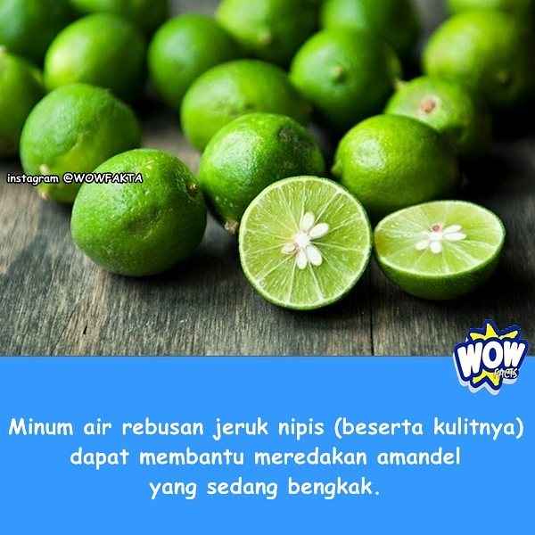 kontenwow's tweet photo. Faktagram hari ini: #tahukahkamu #tahukahanda #wowfakta #fakta #faktanya #wow #mostpopular … https://t.co/iEI0NxboUF https://t.co/BVvAnNjtWW