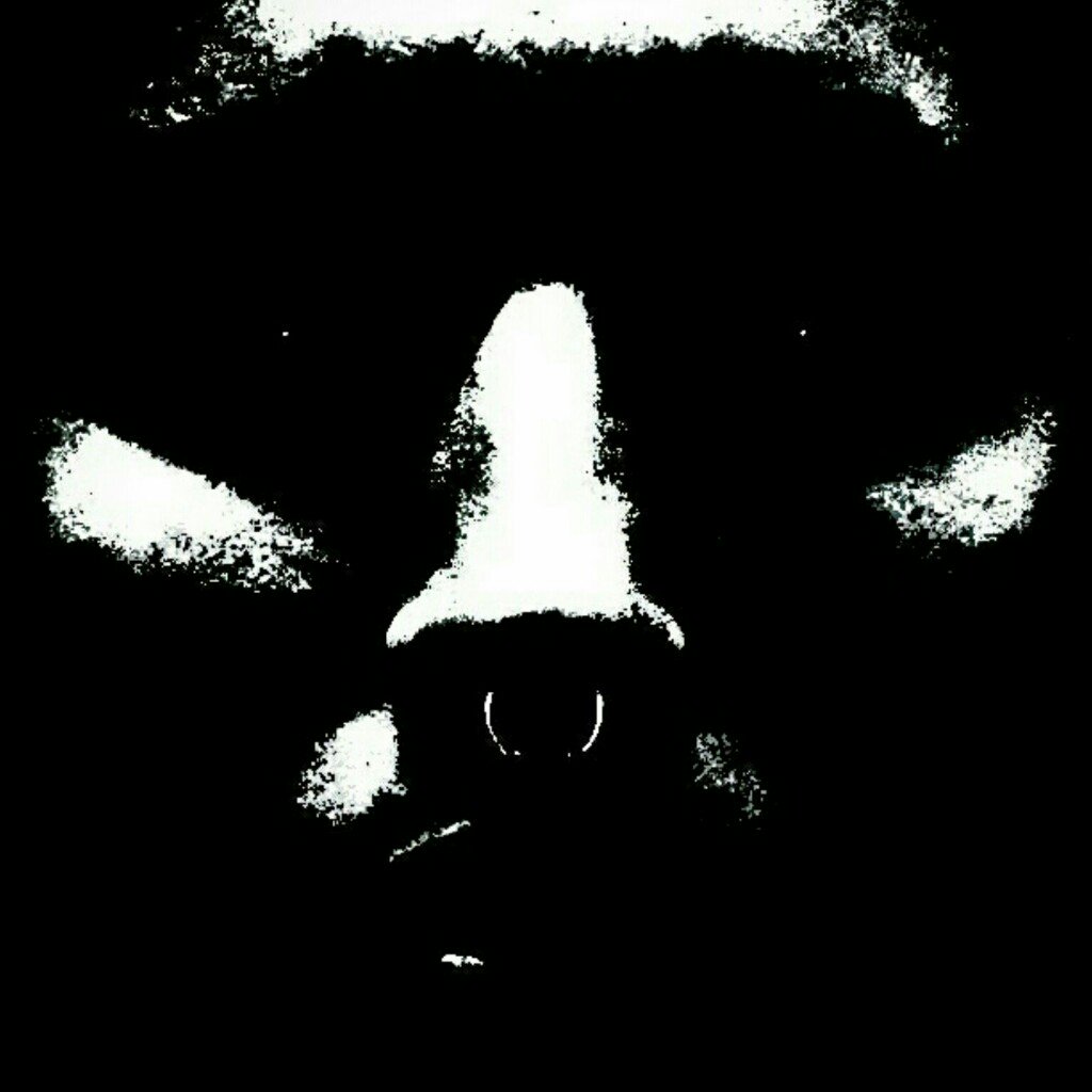 jlrobles83's tweet photo. #PicsArt
 https://t.co/Gtbi9DhVmR https://t.co/jRNgXwNTcS