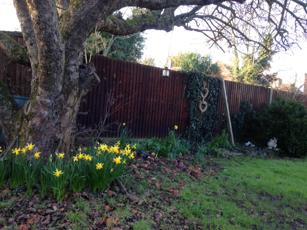 Morning everyone, having a quick Coffe in the garden before the day goes MAD!