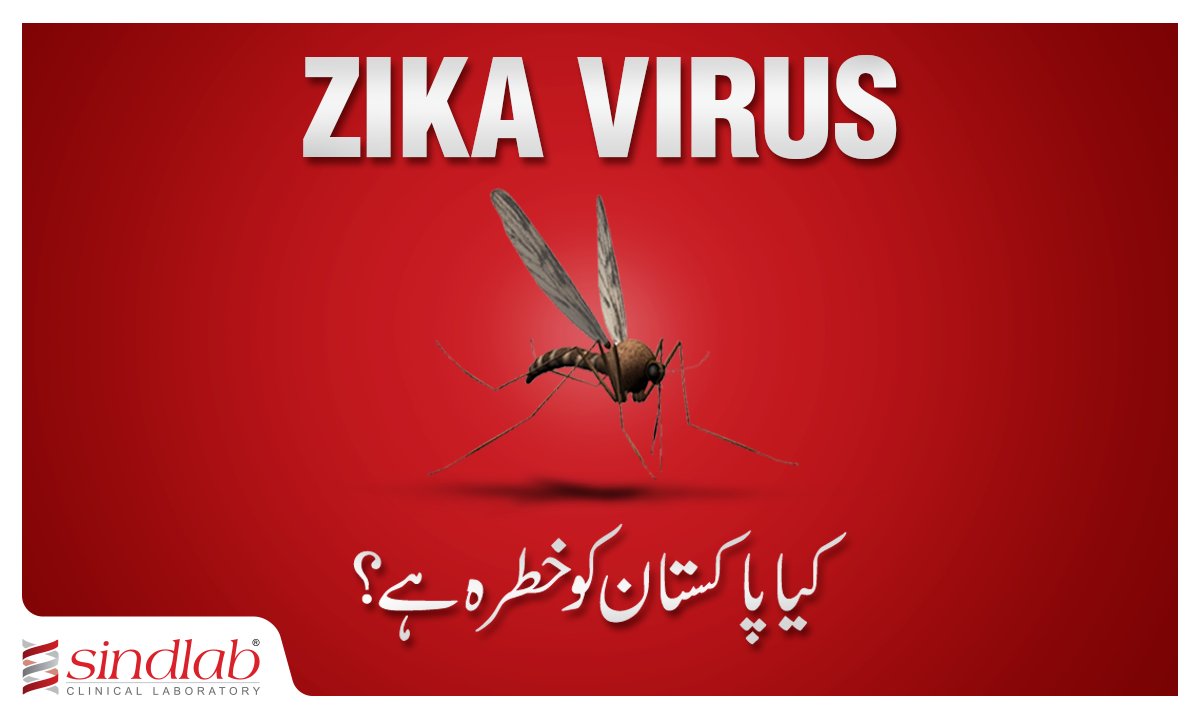 sindlabofficial's tweet photo. ZIKA virus is now being declared as a global threat. Is Pakistan at risk? #zika #Sindlab #Karachi https://t.co/pxfkJQVEdb