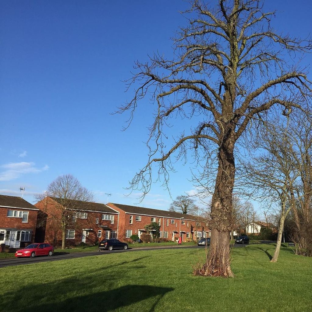 BeniPaul's tweet photo. Beautiful morning blue sky #london #bluesky https://t.co/DrPbSUMqSp https://t.co/OarZUJ2SLU