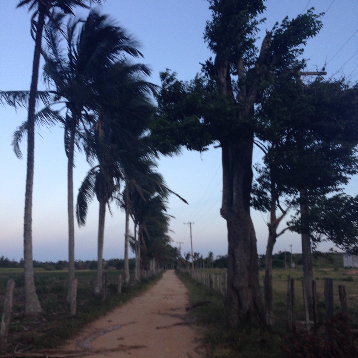 MarinKust's tweet photo. Paisaje de Brasil.. 🍍☀️ https://t.co/fJeyMricz7