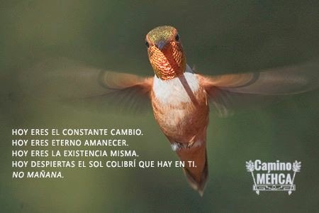 SpiritualityRM (@spiritualityrm) on Twitter photo 