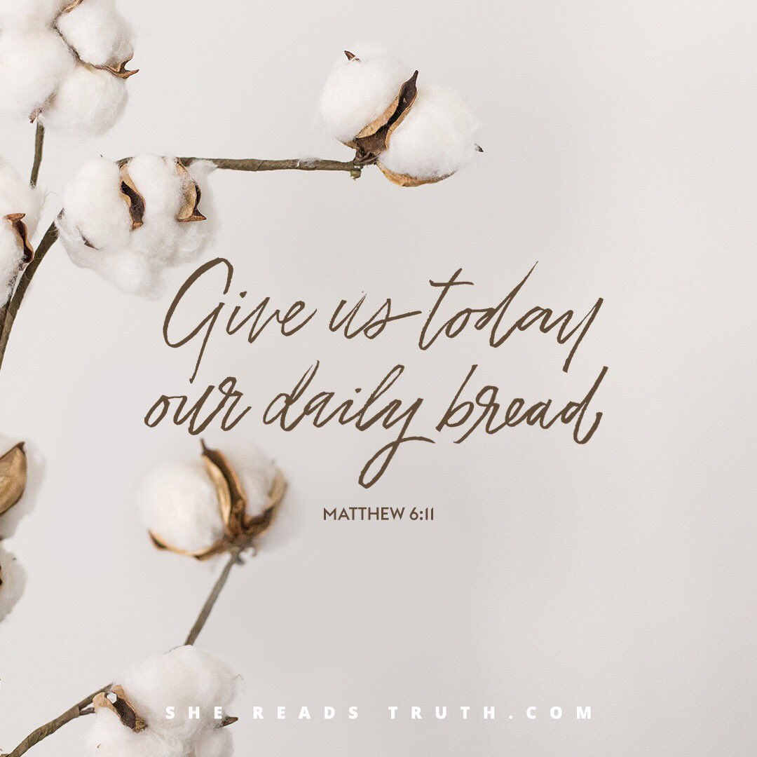 SheReadsTruth's tweet image. The Practice of Prayer(2 of 3)
shereadstruth.com/2016/02/23/the…