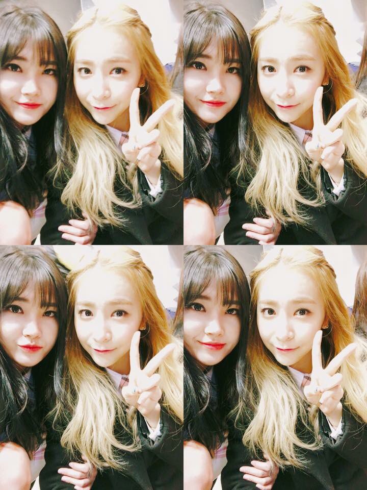 instiz's tweet photo. 프로듀스101 MJ 허샘 '묻혔잖아' 발언의 진실 https://t.co/pgtzXWOQyS https://t.co/dUTQWrv0n1