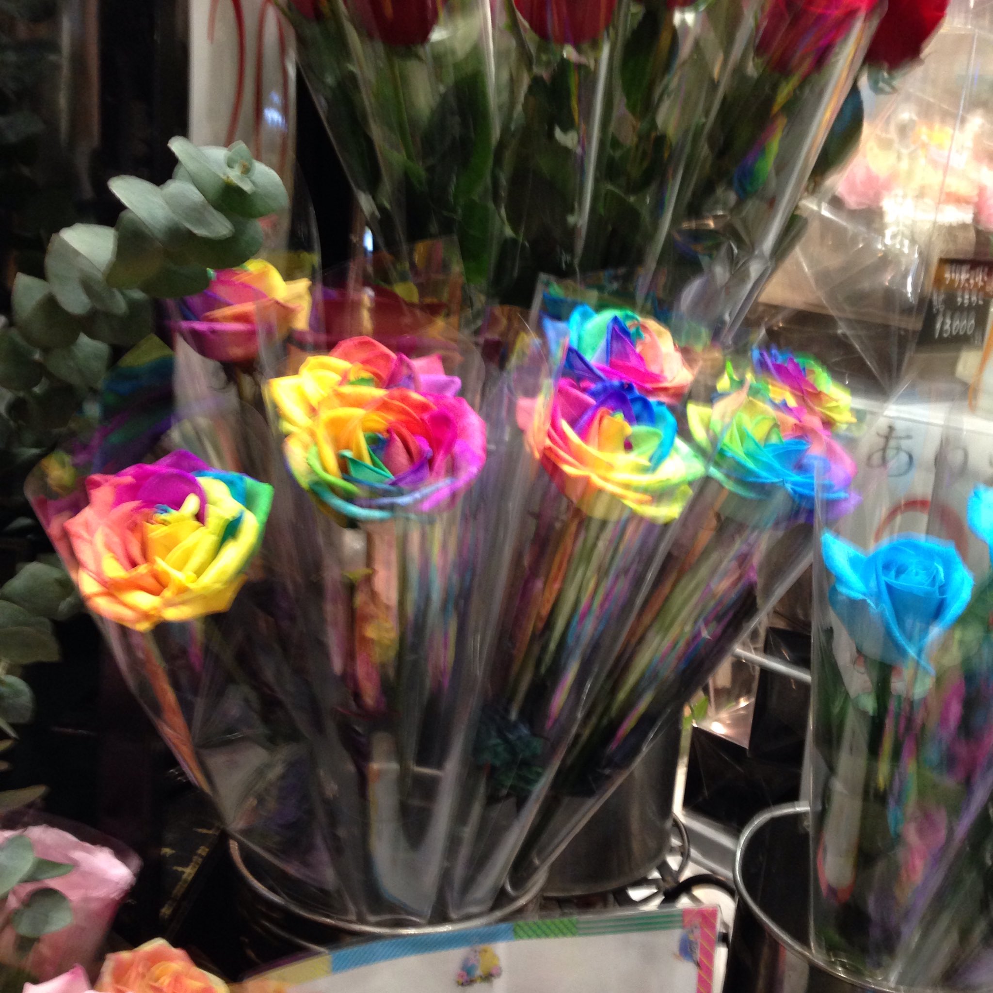 キンクマ Hamster Sur Twitter 虹色のカーネーション 西武新宿駅 花屋さん オランダ屋 T Co F306pjfnca Twitter