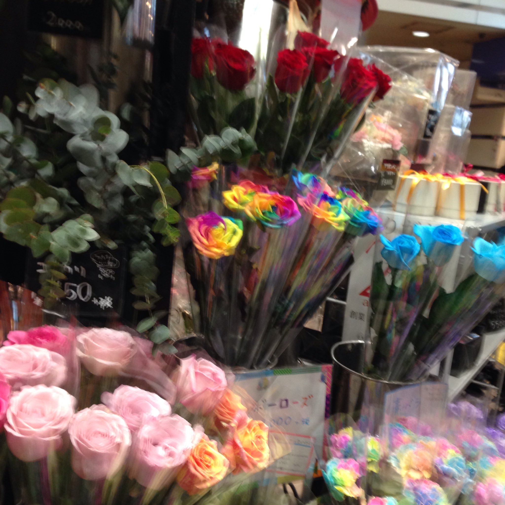 キンクマ とわ 虹色のカーネーション 西武新宿駅 花屋さん オランダ屋 T Co F306pjfnca キンクマ とわ 虹色のカーネーション 西武新宿駅 花屋さん オランダ屋 T Co F306pjfnca