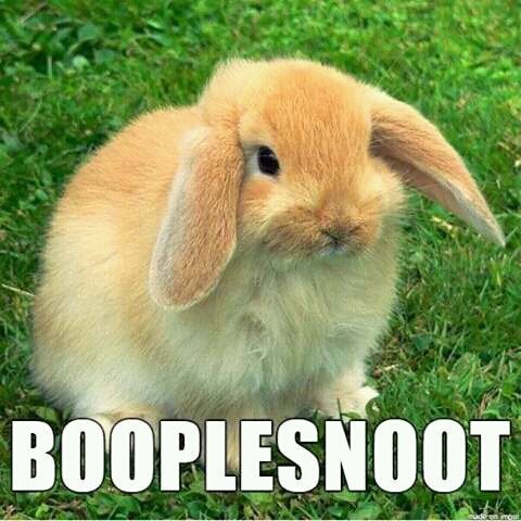 spike1012134's tweet photo. @MissLopEar because you're a https://t.co/631jrDE3PD