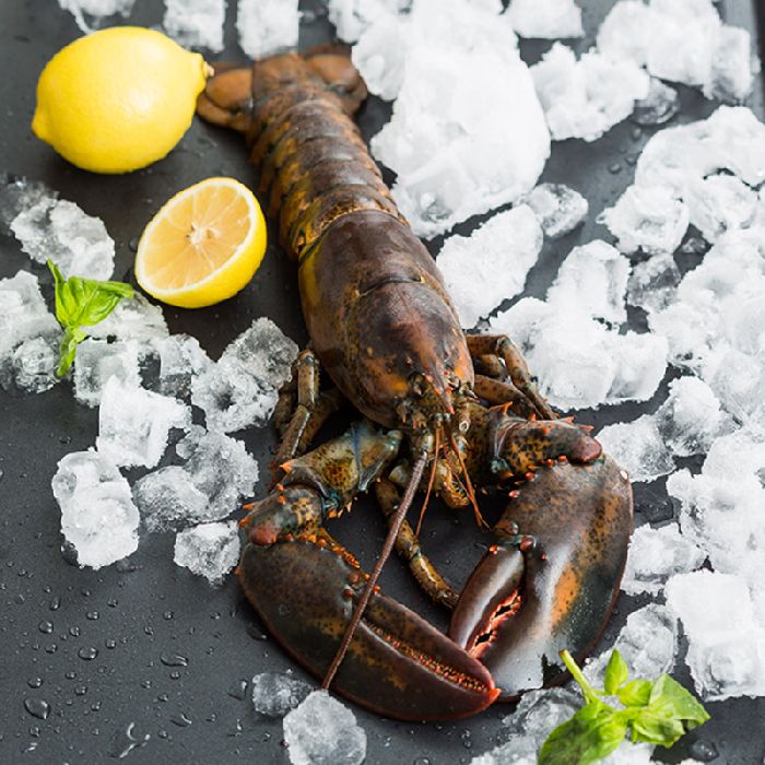 TableLifeChina's tweet image. Raw, frozen #Canadian #lobsters, and we're selling them for over 20% off! ow.ly/YDBu2 #tastemore