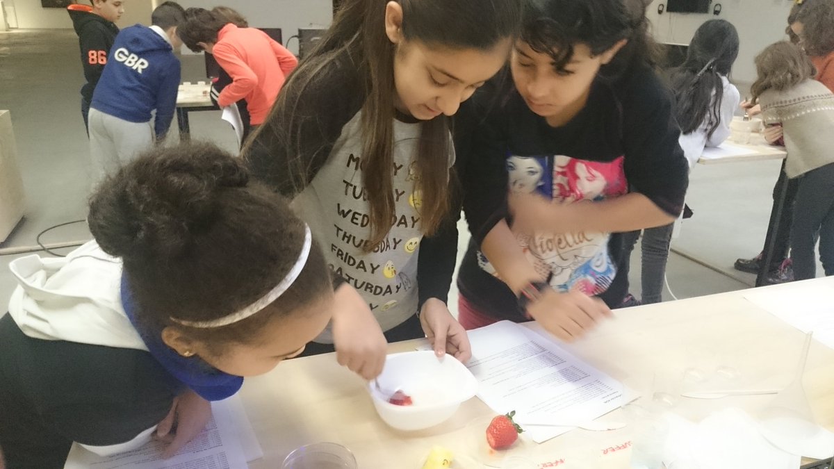 COlayinos's tweet image. Buscando ADN #eduLAB #scienceandarts