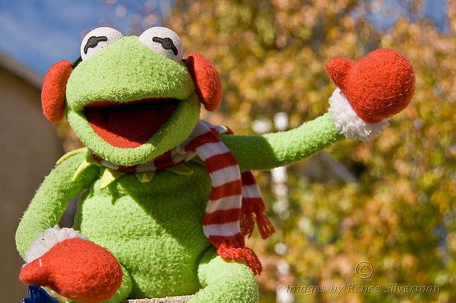 FlashAcademy_HQ's tweet image. 12 Things Ultra-productive Language Learners Do Differently 👓  | @5minutelanguage ht.ly/Yl5gm