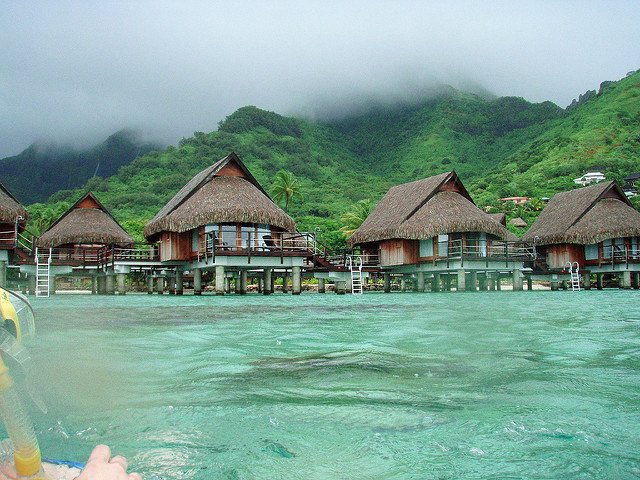 BlueMarbleNomad's tweet photo. RT @TravelnPleasure Experience The Magic Of French Polynesia https://t.co/eggsD1Gggt   #Travel #TravelTuesday https://t.co/Mron1gmDPv