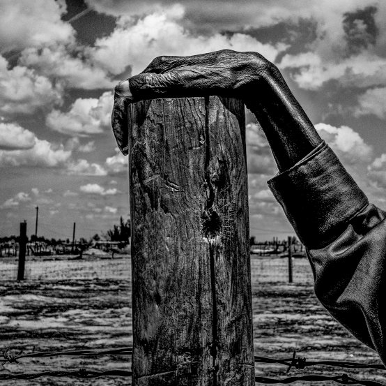 Grandi Fotografi Grandifotografi Twitter