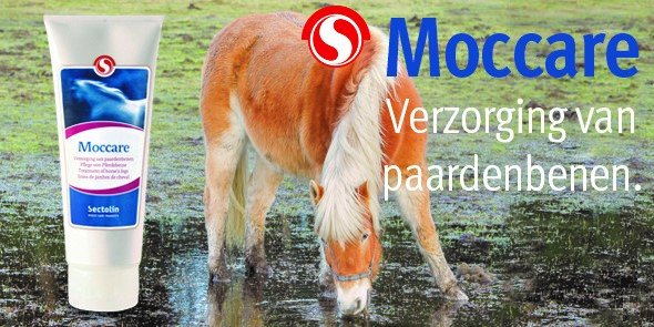 Moccare. Verzorging van paardenbenen.