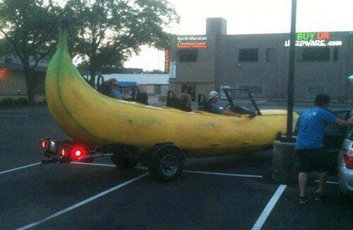 JohnDonoghue64's tweet photo. No time to explain, just get in the banana... https://t.co/ShYsYSe5yp