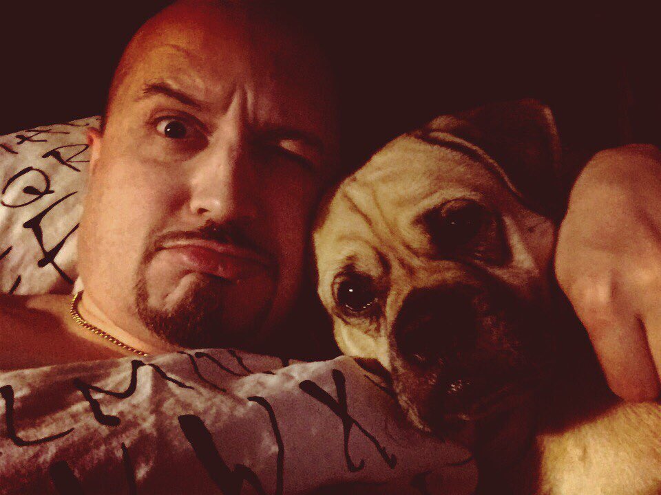 MikeDff's tweet image. Всем любителям кисок - привет! 😺🐶  #спраздником #23февраля