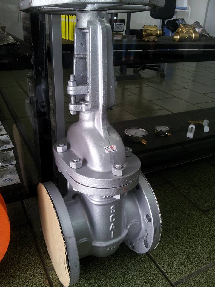 IDEALRV6 tweet picture