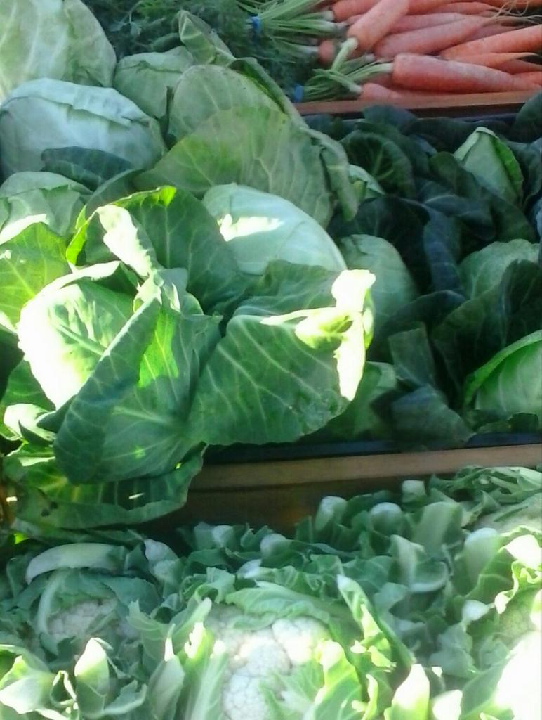 bearstedfmarket's tweet photo. Fresh seasonal produce from @pjsfarmshop will be available at Sundays market https://t.co/94ZvoEyaq1