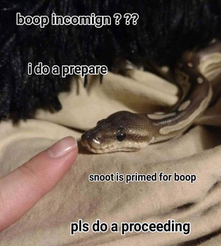 CorruptedLaw's tweet photo. This is snek https://t.co/Gg7FGEBYpo