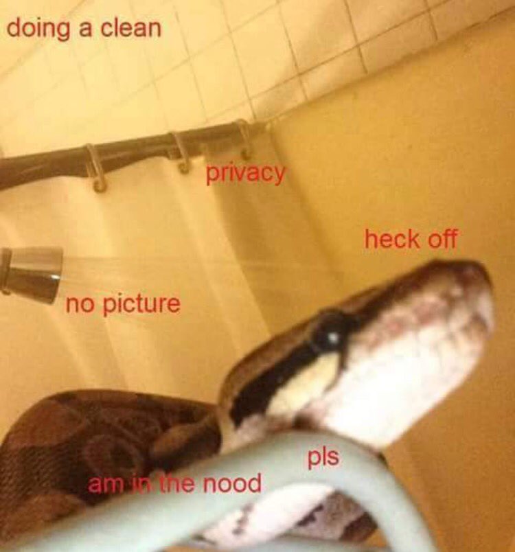 This is snek