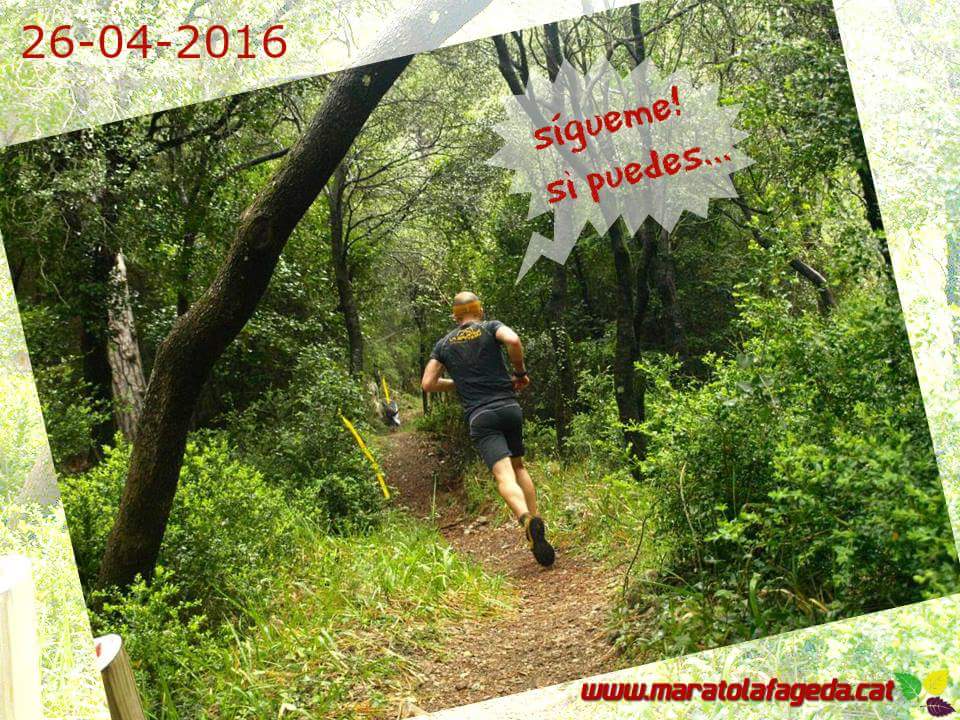 maratofageda's tweet photo. Sígueme! Si puedes... #mlf_2016 #maratofageda https://t.co/i4YdThDme4 https://t.co/AZnwDvJeHZ
