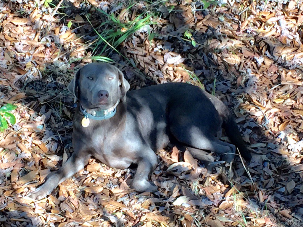 My best friend. Just waiting on me