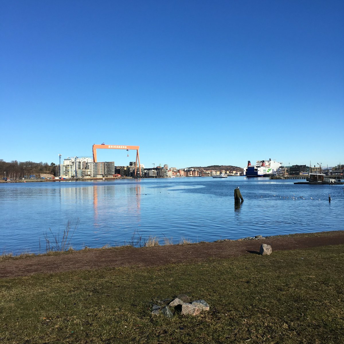 William Fred tweet media