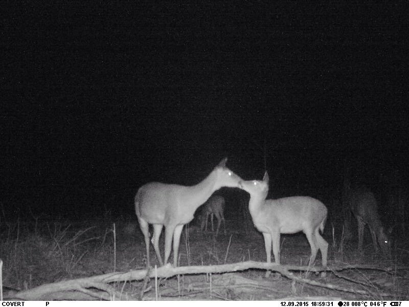A mother loving her little one   How we love the outdoors