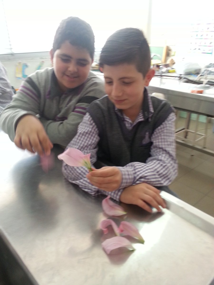 DawhaLab's tweet photo. grade6 Learners#dissection of Lilium flower#investigation#observation
@DawhaHighSchool https://t.co/A8JABOUC9o