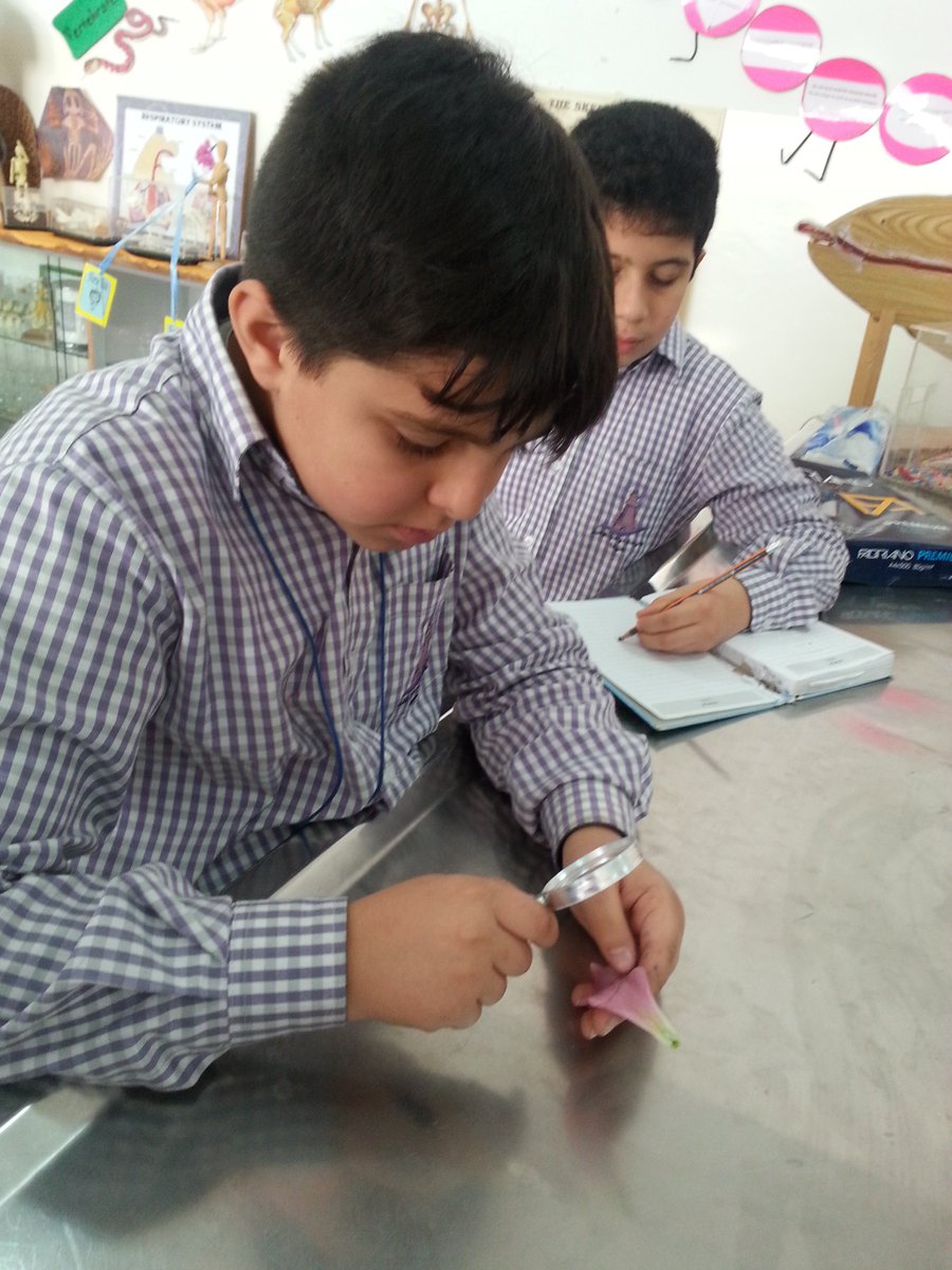 grade6 Learners#dissection of Lilium flower#investigation#observation
@DawhaHighSchool