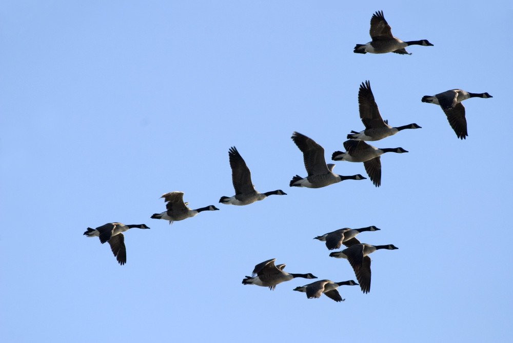 Goodpoint tweet media