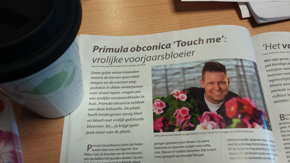 Thee &amp; <a href="/bloemenblad/">Bloem&Blad</a>  .. perfecte combinatie. #Primula @ammerlaansosef